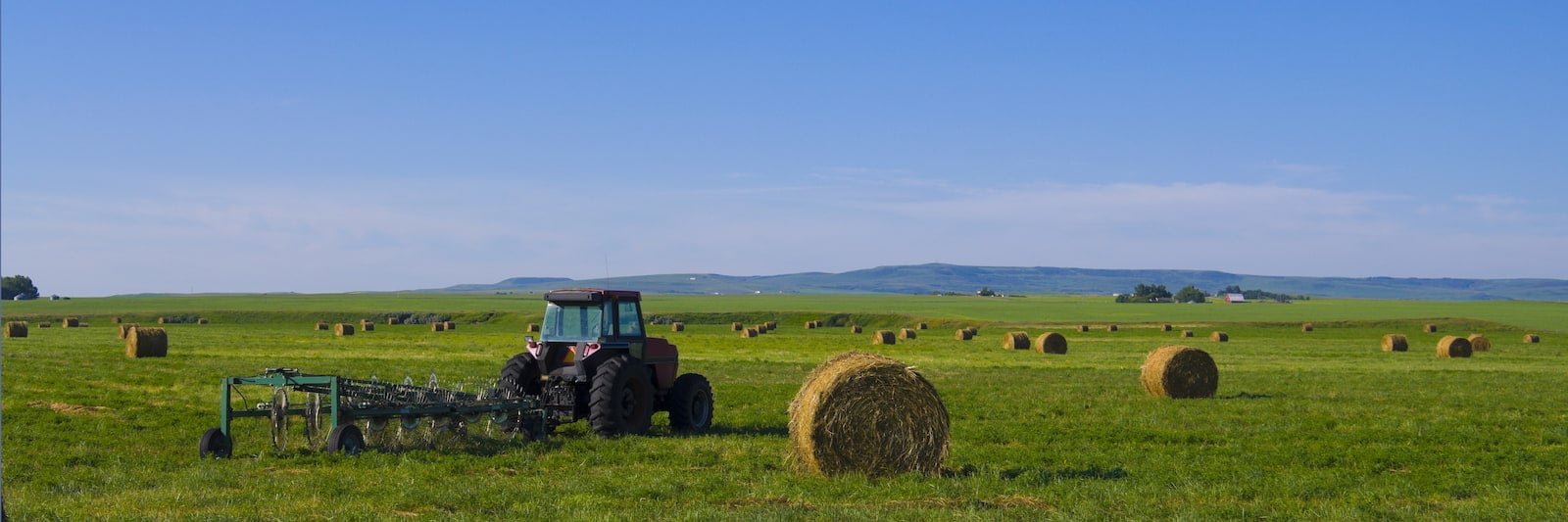 tractor in feild of hay bales